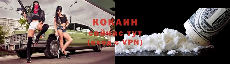 хочу   OMG маркетплейс  COCAIN 98%  Кедровый 